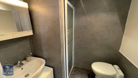 Appartement à louer 2 pièces 28.75m² - Photo 5