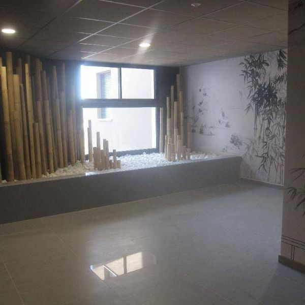 Location appartement récent 2 pièces 43.35 m² à Montpellier (34000) - Photo 1