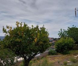 Μονοκατοικία για ενοικίαση - Μαρκόπουλο, - Photo 6