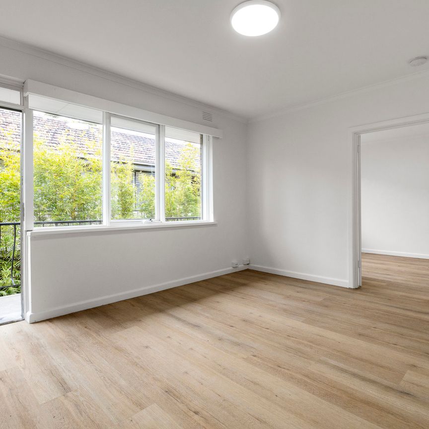 6/58 Gourlay St, Balaclava VIC 3183 - Apartment For Rent | Domain - Photo 1