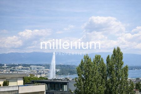 Superb 5.5 room apartment with pool – Malagnou - Foto 2