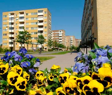 Nedre Borgmästaregatan 7 - Foto 4