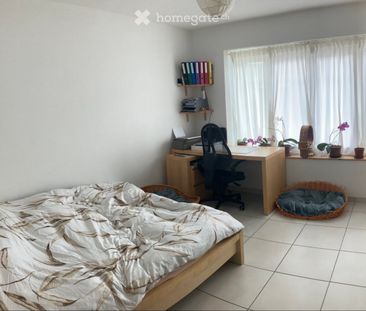 3 Zimmer, 50 m² - Foto 2