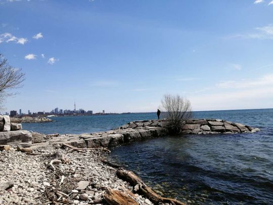 For Lease - 20 Shore Breeze Drive Unit# 2503, Toronto, Ontario - Photo 1