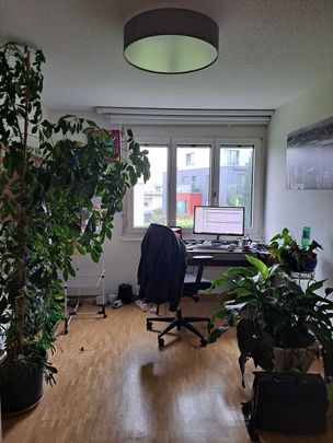 41/2-ROOM APARTMENT IN HORGEN (ZH), FURNISHED, TEMPORARY - Photo 1