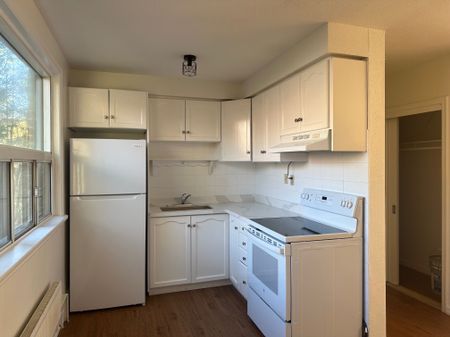 For Lease - 14 Vanevery Street Unit# Unit 3, Toronto, Ontario - Photo 3