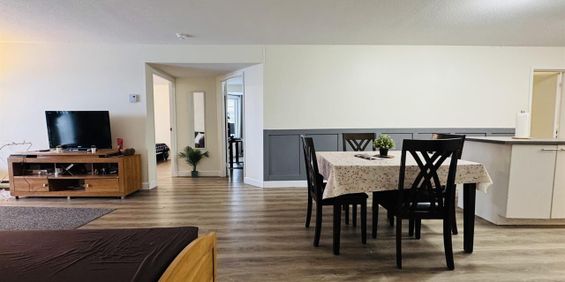 Antoine-du Verdier Appartement 4 ½ à Louer Sainte-Foy / Sillery Juillet 2026 - Photo 3