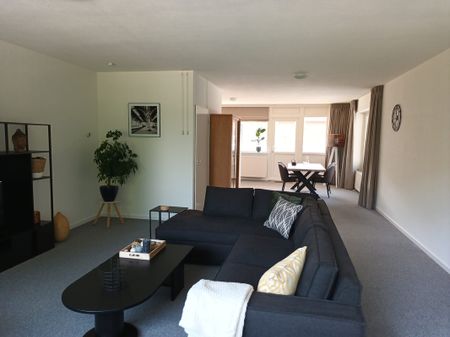 Poolster 220 - Foto 3