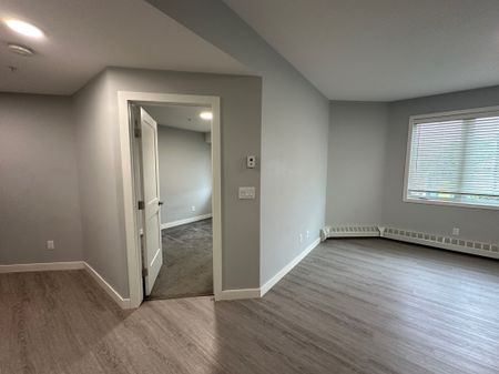 1 bed with Laundry in Sylvan Lake! Flat rate utilities! - Photo 3