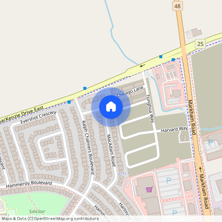 27 Macadam Road Unit# Lower Unit, Markham