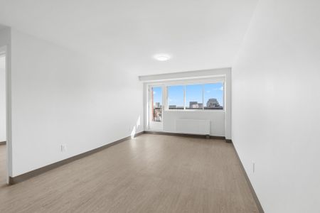 Condo for rent, Montréal (Le Plateau-Mont-Royal) - Photo 3