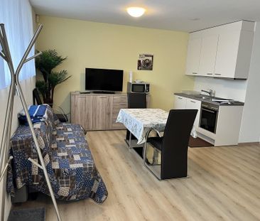 Möblierte 1.5 Zimmer Einliegerwohnung in 8047 Zürich - Foto 1