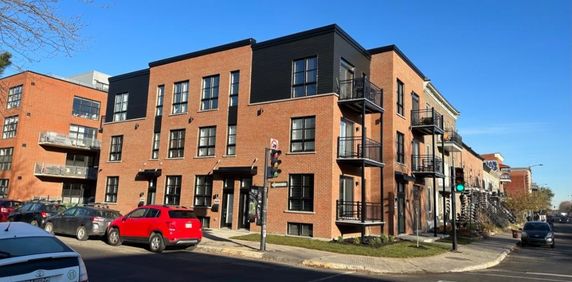 3 1/2 rue Ontario Montréal - Photo 2