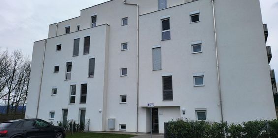 PROVISIONSFREI! ANTON-BENYA-STRASSE! 2 ZIMMERWOHNUNG MIT GARTEN! - Photo 3