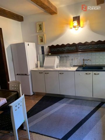 Casa individuala de inchiriat cu o camera - zona Ghiroda - Fotografie 2