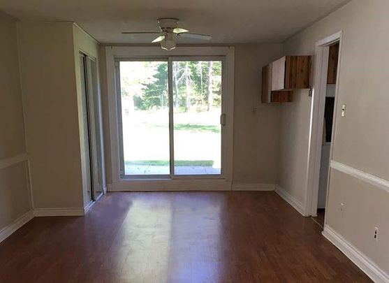 For Lease - 10 B Mill Street Unit# Main, Essa, Ontario - Photo 1