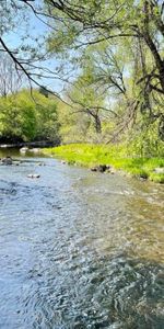 3 ½ à louer animaux autorisés! - Photo 3