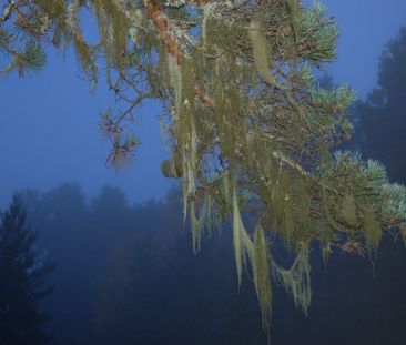 Bruksvägen, Sollefteå - Foto 3