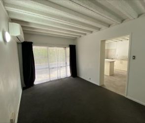 This renovated downstairs unit offers one bedroom, a modern bathroo... - Photo 3