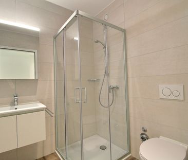 Maginifique 4.5 pièces avec vue sur la Gérine ! - Foto 4