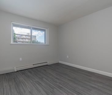 Patricia Apartments - Photo 5