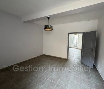 Location maison de village à Canohès, Village - Photo 5
