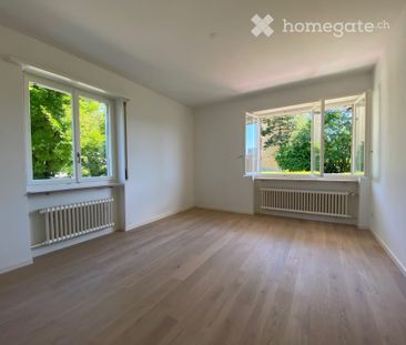 Charmante, lichtdurchflutete und ruhige 3.5 Zimmerwohnung - Foto 2