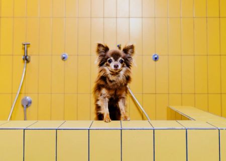 Standard Studio - Photo 3