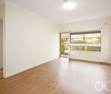 Open the Door to Stylish Simplicity in Daw Park - Photo 6