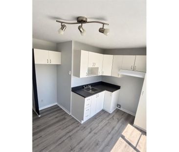 Appartement à louer - Montréal (Rosemont/La Petite-Patrie) (Vieux-R... - Photo 6