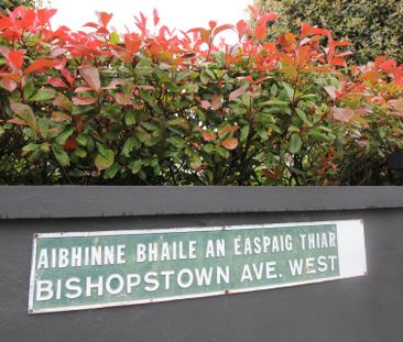 Bishopstown Avenue West, Model Farm Road - Photo 2