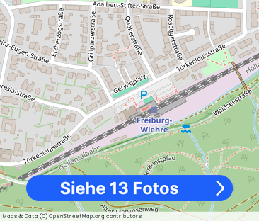 Möblierte, schöne Altbauwohnung in grüner & zentrumsnaher Lage für ... - Foto 1