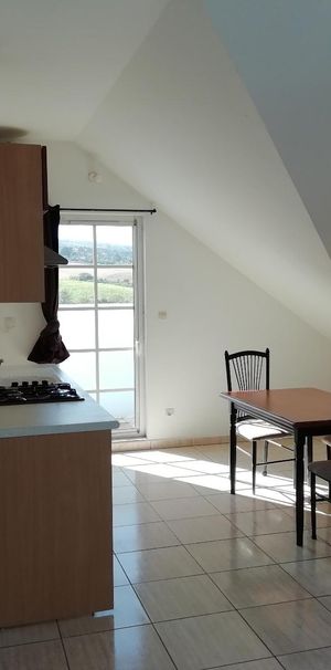 Location Appartement 1 pièce 29m² LE TAMPON 97430 - Photo 1