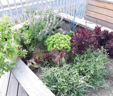 ***HERBSTAKTION 1. MONAT MIETFREI*** 2 ZI-WOHNUNG MIT SÜDLOGGIA IM ... - Photo 2