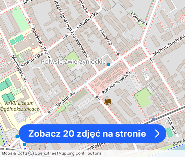 Mieszkanie do wynajęcia ul. Senatorska/Salwator - Zdjęcie 1