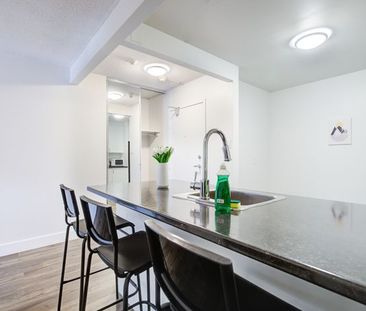 Flex Plus - Lees Ave - Photo 6