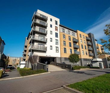 Little Brights Road - Photo 6