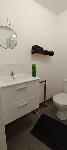 Location Appartement 1 pièce 24m² - Photo 4