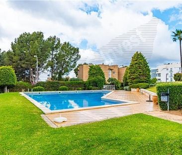 Palma de Mallorca, Balearic Islands 07015 - Photo 6