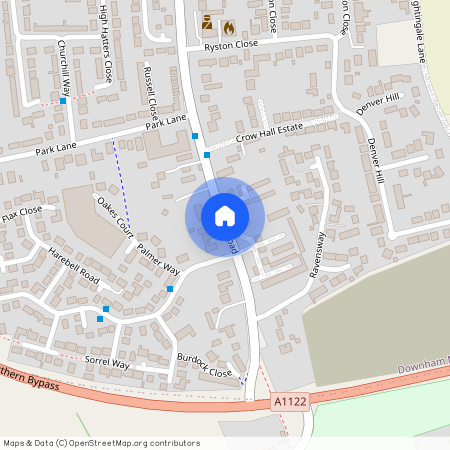 Wagtail Road, Downham Market