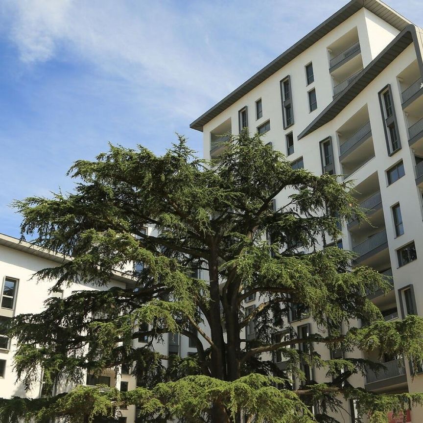 location Appartement T3 DE 60m² À MASSY - Photo 1