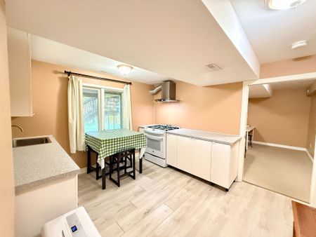For Lease - 1694 Hillside Drive Unit# Basement, London North, Ontario - Photo 4