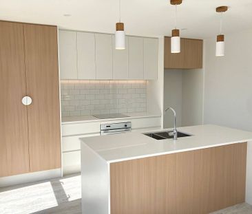 Modern 3 Bedroom Home in Ashburton - Photo 5