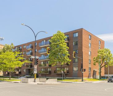 2 ½ - 1300 Boulevard De La Côte-Vertu, Montréal - Photo 3