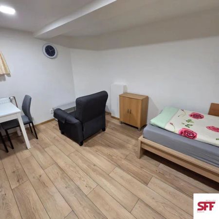 Útulný zařízený byt 1+kk, 23 m and sup2;, Praha 5 Jinonice, blízko metra Nové Butovice - Fotografie 3