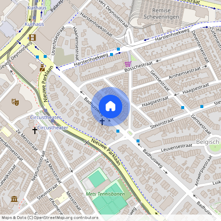 Badhuisweg 38, Zuid-Holland, 2587 CJ, Den Haag