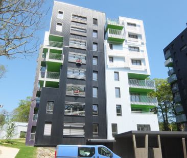 Location Appartement 3 pièces 63m² ST HERBLAIN 44800 - Photo 4