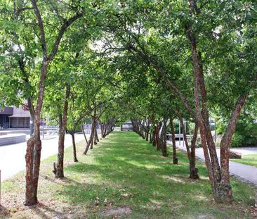 Flamman, Västanågatan 20.317 - Foto 6