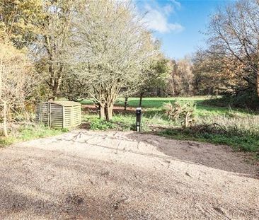 3 bedroom house to rent - Photo 5