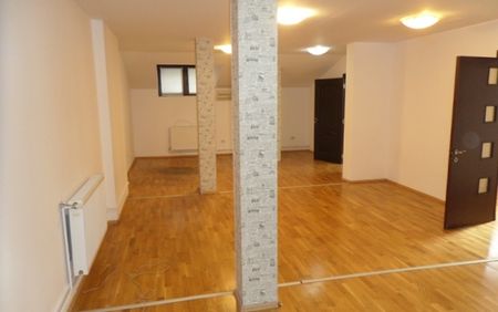 Inchiriere vila in zona Decebal Piata Alba Iulia - Fotografie 5
